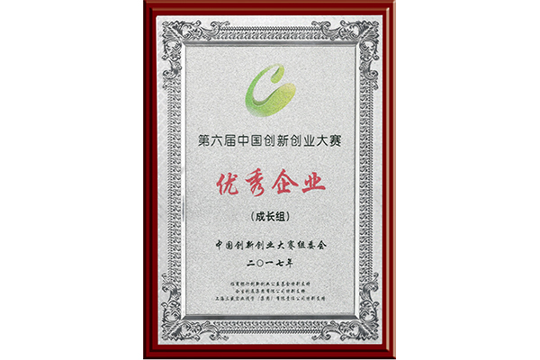 Outstanding Enterprise of China Innovation and Entrepreneurship Competition